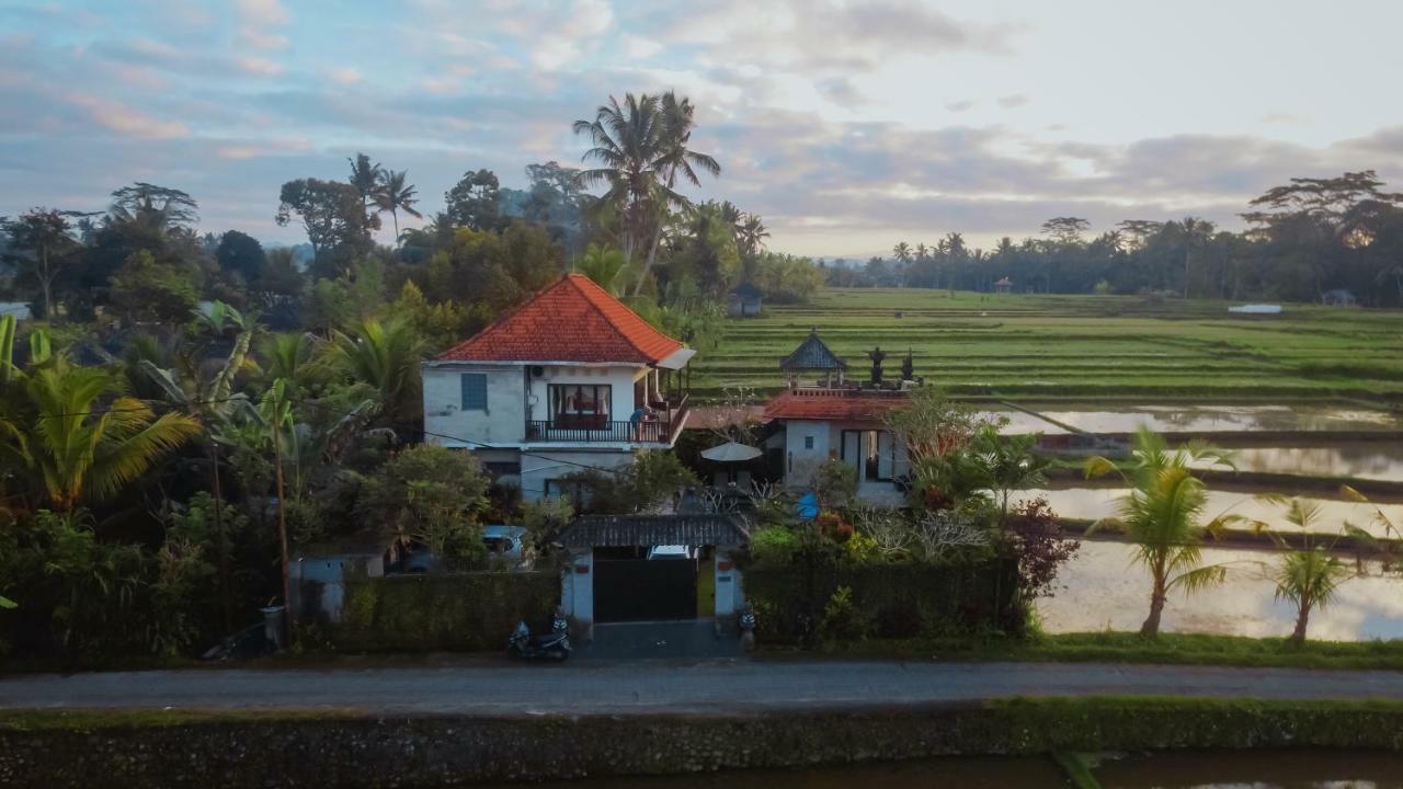 Umah Bali Villa Ubud Dış mekan fotoğraf